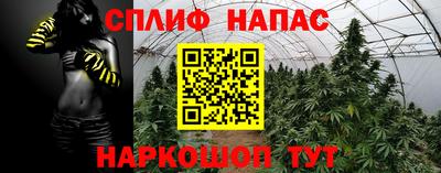 крисы Нягань