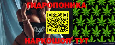 крисы Нягань